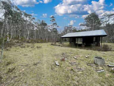 Lifestyle For Sale - NSW - Greenlands - 2330 - Rural Retreat Amidst Nature's Splendour  (Image 2)