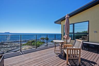 House For Sale - TAS - Cowrie Point - 7321 - Absolute Water Frontage & Views  (Image 2)