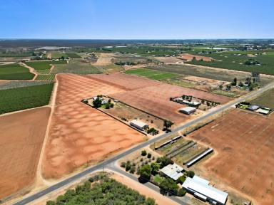 Cropping For Sale - VIC - Red Cliffs - 3496 - Ready and Waiting for you.  (Image 2)