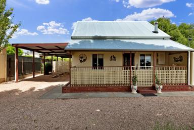 House Sold - VIC - Irymple - 3498 - The postcode you desire!  (Image 2)