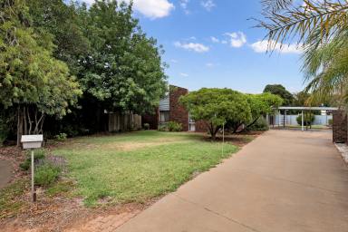 House For Sale - VIC - Mildura - 3500 - Brick Veneer Beauty!  (Image 2)