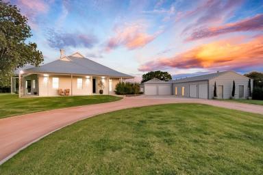 House For Sale - VIC - Irymple - 3498 - Where Timeless Elegance Meets Modern Grandeur  (Image 2)