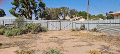 Residential Block For Sale - SA - Port Augusta West - 5700 - STORAGE! Land with huge shed and great location  (Image 2)