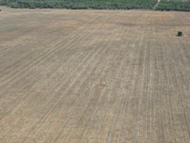 Cropping Auction - NSW - Moree - 2400 - Ideal Moree Starter Block  (Image 2)