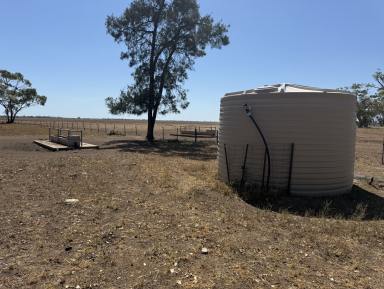 Cropping Auction - NSW - Moree - 2400 - Ideal Moree Starter Block  (Image 2)