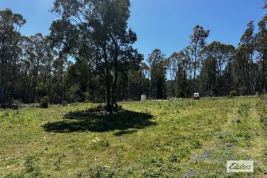 Residential Block For Sale - TAS - Railton - 7305 - OUT OF TOWNER!  (Image 2)