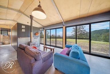 Acreage/Semi-rural For Sale - NSW - Nooroo - 2415 - The Ultimate 100 Acre Off-Grid Retreat!  (Image 2)