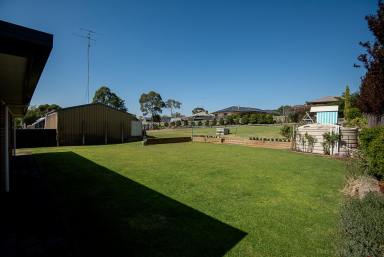 House For Sale - SA - Naracoorte - 5271 - Be Very Impressed, 4 bed, 2 bath, 2 living - Huge1,603m2 Allotment  (Image 2)