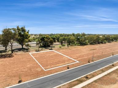 Residential Block For Sale - VIC - Bridgewater On Loddon - 3516 - TITLED ALLOTMENT  (Image 2)