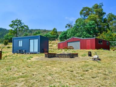 Residential Block For Sale - TAS - Black Hills - 7140 - Private Paradise  (Image 2)