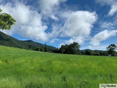 Residential Block For Sale - QLD - Feluga - 4854 - STUNNING MOUNTAIN BACKDROP  (Image 2)