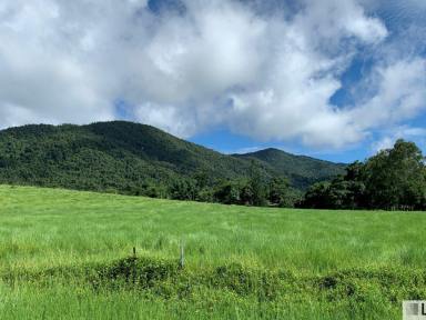 Residential Block For Sale - QLD - Feluga - 4854 - STUNNING MOUNTAIN BACKDROP  (Image 2)