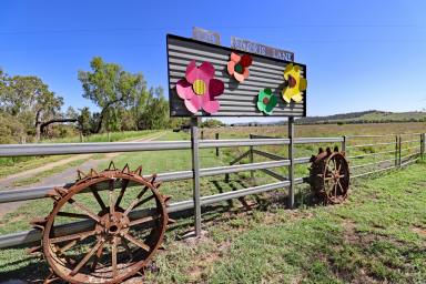 Other (Rural) Auction - QLD - Thangool - 4716 - Thangool Country Living  (Image 2)