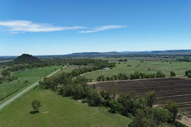 Other (Rural) Auction - QLD - Thangool - 4716 - Thangool Country Living  (Image 2)