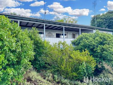 Other (Rural) For Sale - NSW - Inverell - 2360 - Serene Country Living with Modern Comforts  (Image 2)