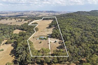 House For Sale - VIC - Kelvin View - 3666 - Hope Springs – Kelvin View, 
Strathbogie Ranges  (Image 2)