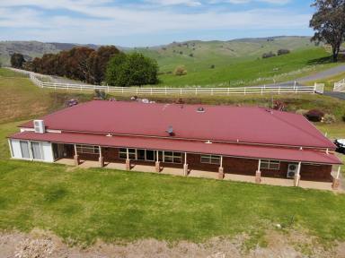 House For Sale - NSW - Adelong - 2729 - Rural Paradise!  (Image 2)