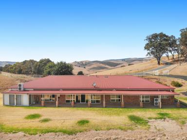 House For Sale - NSW - Adelong - 2729 - Rural Paradise!  (Image 2)