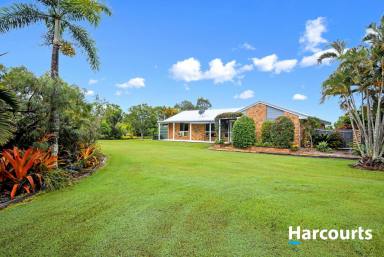 House For Sale - QLD - Buxton - 4660 - ACREAGE LIVING IN BUXTON  (Image 2)