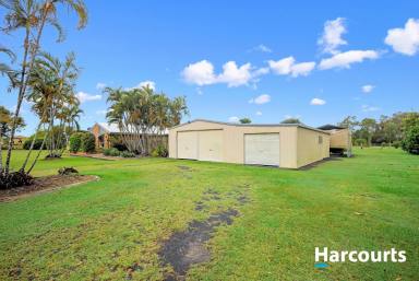 House For Sale - QLD - Buxton - 4660 - ACREAGE LIVING IN BUXTON  (Image 2)