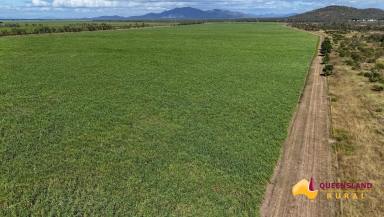 Mixed Farming For Sale - QLD - Ayr - 4807 - Woodhouse Station  (Image 2)