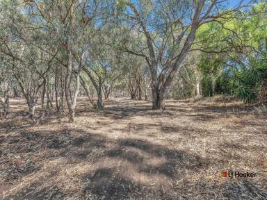 Residential Block Auction - VIC - Echuca - 3564 - Your Dream Bush Retreat Awaits - 1248m2 of Prime Land with Endless Potential !  (Image 2)