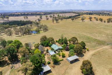 Mixed Farming For Sale - NSW - Lyndhurst - 2797 - LOVELY FAMILY HOME SET ON 200ACRES OF HIGH QUALITY TABLELANDS COUNTRY!  (Image 2)