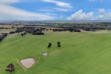 Lifestyle For Sale - NSW - Lyndhurst - 2797 - LOVELY FAMILY HOME SET ON 200ACRES OF HIGH QUALITY TABLELANDS COUNTRY!  (Image 2)