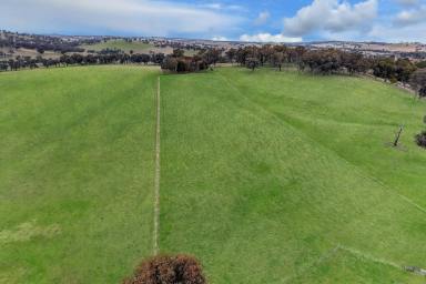 Mixed Farming For Sale - NSW - Lyndhurst - 2797 - LOVELY FAMILY HOME SET ON 200ACRES OF HIGH QUALITY TABLELANDS COUNTRY!  (Image 2)