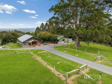 House For Sale - QLD - Ocean View - 4521 - Income Producing Property  (Image 2)