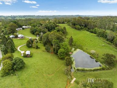 House For Sale - QLD - Ocean View - 4521 - Enchanting 22-Acre Mountain Retreat  (Image 2)