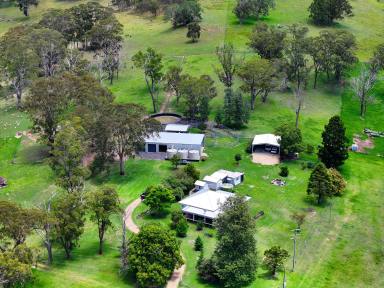 Mixed Farming For Sale - NSW - Lower Acacia Creek - 2476 - "ACACIA DOWNS" - 420 ACRES  (Image 2)