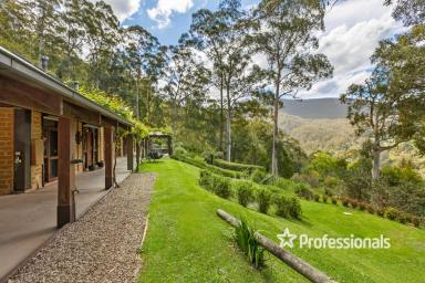 House For Sale - VIC - Warburton - 3799 - ARCHITECTURAL ELEGANCE WITH BREATHTAKING VIEWS  (Image 2)