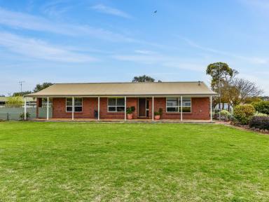 House For Sale - SA - Penola - 5277 - Huge allotment and fantastic home in central Penola  (Image 2)