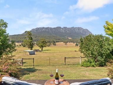 Lifestyle For Sale - TAS - Sheffield - 7306 - What A View  (Image 2)