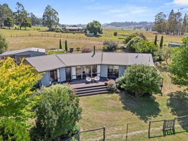 Lifestyle For Sale - TAS - Sheffield - 7306 - What A View  (Image 2)