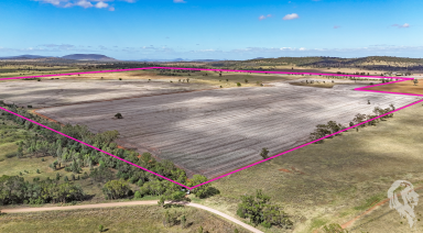 Cropping For Sale - NSW - Gunnedah - 2380 - 500* ACRES OF PRIME FARMING LAND WITH CROP!!  (Image 2)