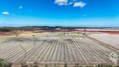 Cropping For Sale - NSW - Gunnedah - 2380 - 500* ACRES OF PRIME FARMING LAND WITH CROP!!  (Image 2)