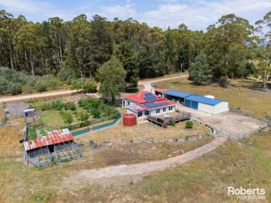 House For Sale - TAS - Lower Beulah - 7306 - Sustainable & Independent Lifestyle Awaits  (Image 2)