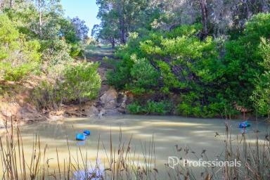 Lifestyle For Sale - WA - Balingup - 6253 - Cockatoo Ridge Organic Farm, Upper Balingup  (Image 2)