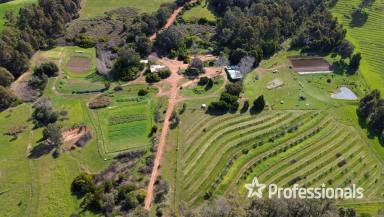 Lifestyle For Sale - WA - Balingup - 6253 - Cockatoo Ridge Organic Farm, Upper Balingup  (Image 2)