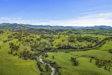 Lifestyle Auction - NSW - Gloucester - 2422 - Escape Off Grid to Kia Ora Gloucester!  (Image 2)