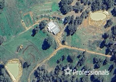 Lifestyle For Sale - WA - Thomson Brook - 6239 - Paradise In The Hills  (Image 2)