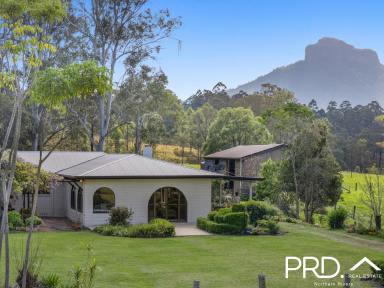 Lifestyle For Sale - NSW - Dairy Flat - 2474 - Mount Lindesay Views  (Image 2)