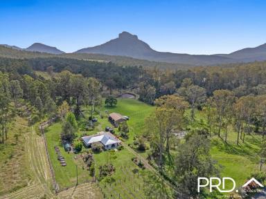 House For Sale - NSW - Kyogle - 2474 - Mount Lindesay Views  (Image 2)