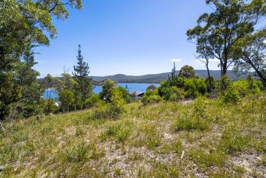 Residential Block For Sale - TAS - Nubeena - 7184 - Prime Residential Block with Building Approval & Water Views  (Image 2)