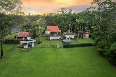 House For Sale - QLD - Cooroy - 4563 - Own Private Retreat - A Stunning Character Home on Usable Acres  (Image 2)