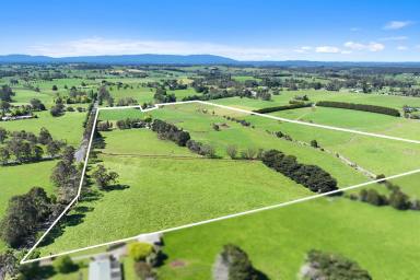 Other (Rural) Tender - VIC - Nilma - 3821 - Unique Land Banking Opportunity  (Image 2)