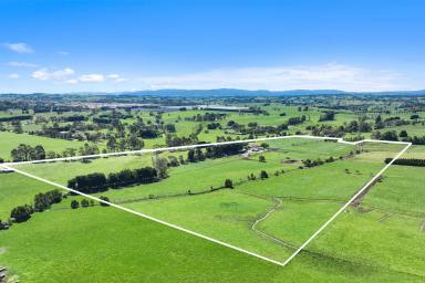 Other (Rural) Tender - VIC - Nilma - 3821 - Unique Land Banking Opportunity  (Image 2)