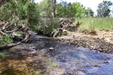 Other (Rural) For Sale - QLD - Beeron - 4626 - Central Burnett Grazing  (Image 2)